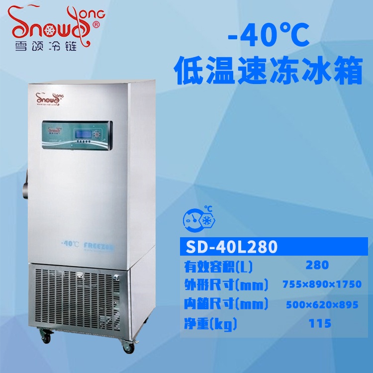 -40℃立式低温冰箱 280L